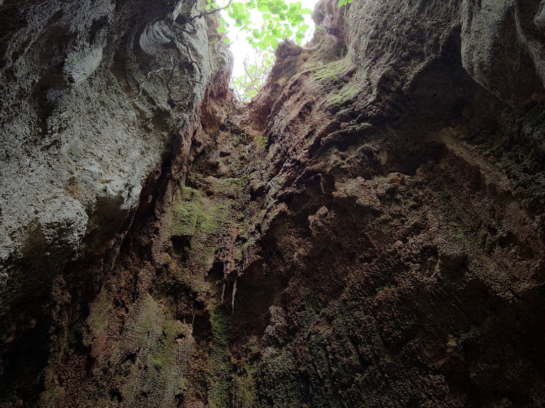 Providence Canyon State Park-Lumpkin必去景点
