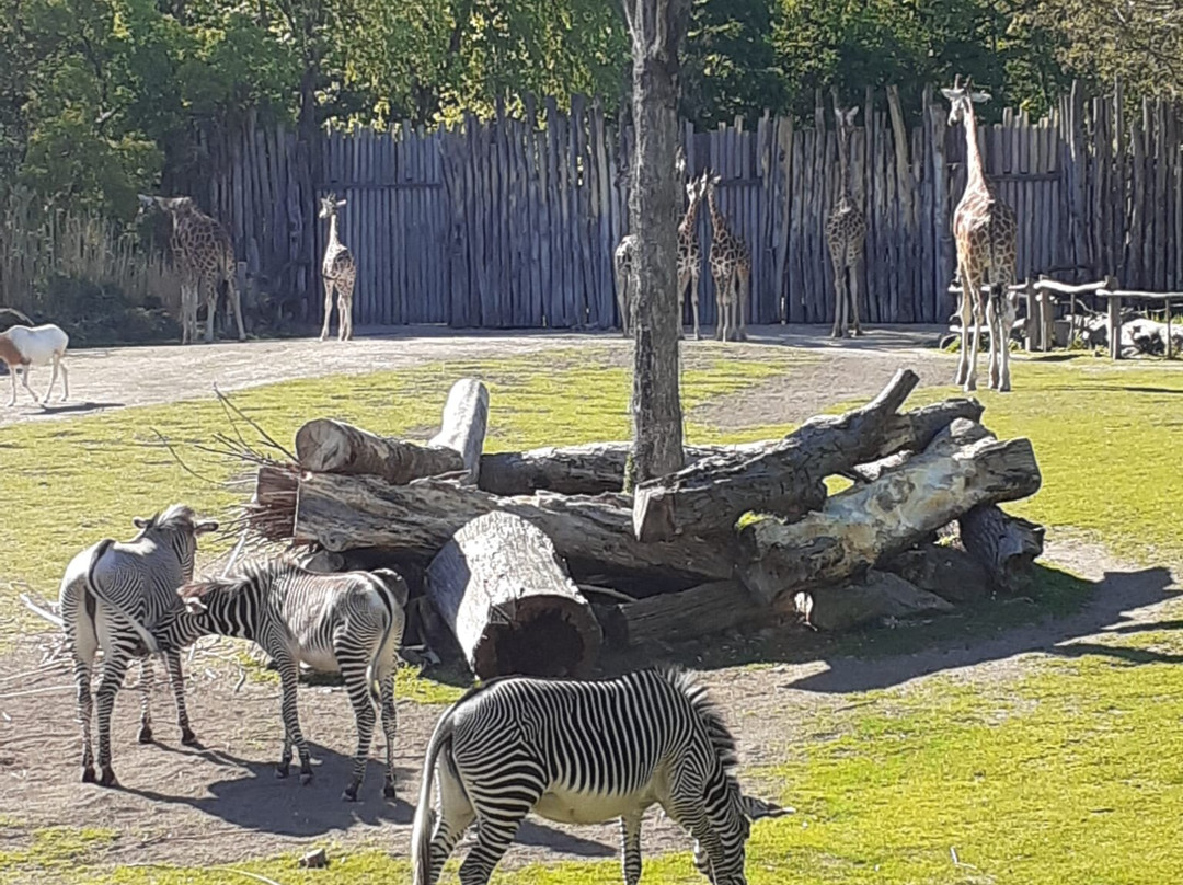 Zoo Leipzig-莱比锡必去景点