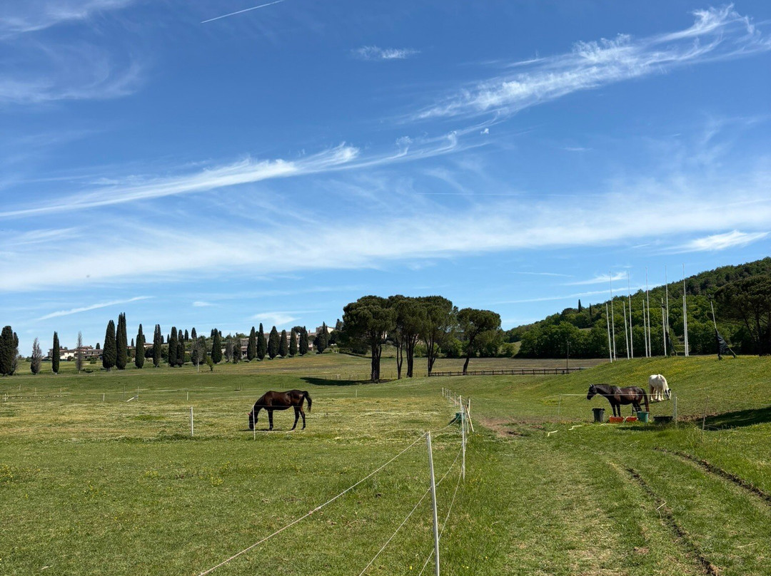 Paradiso Del Cavallo-Bagnaia必去景点