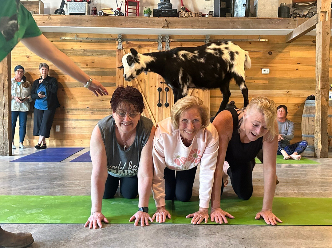 Galena Goat Yoga