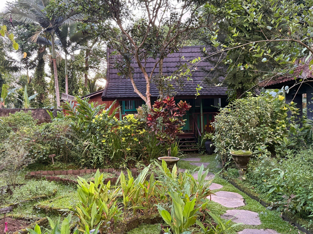 Amrtasiddhi Ayurvedic Center-乌布必去景点
