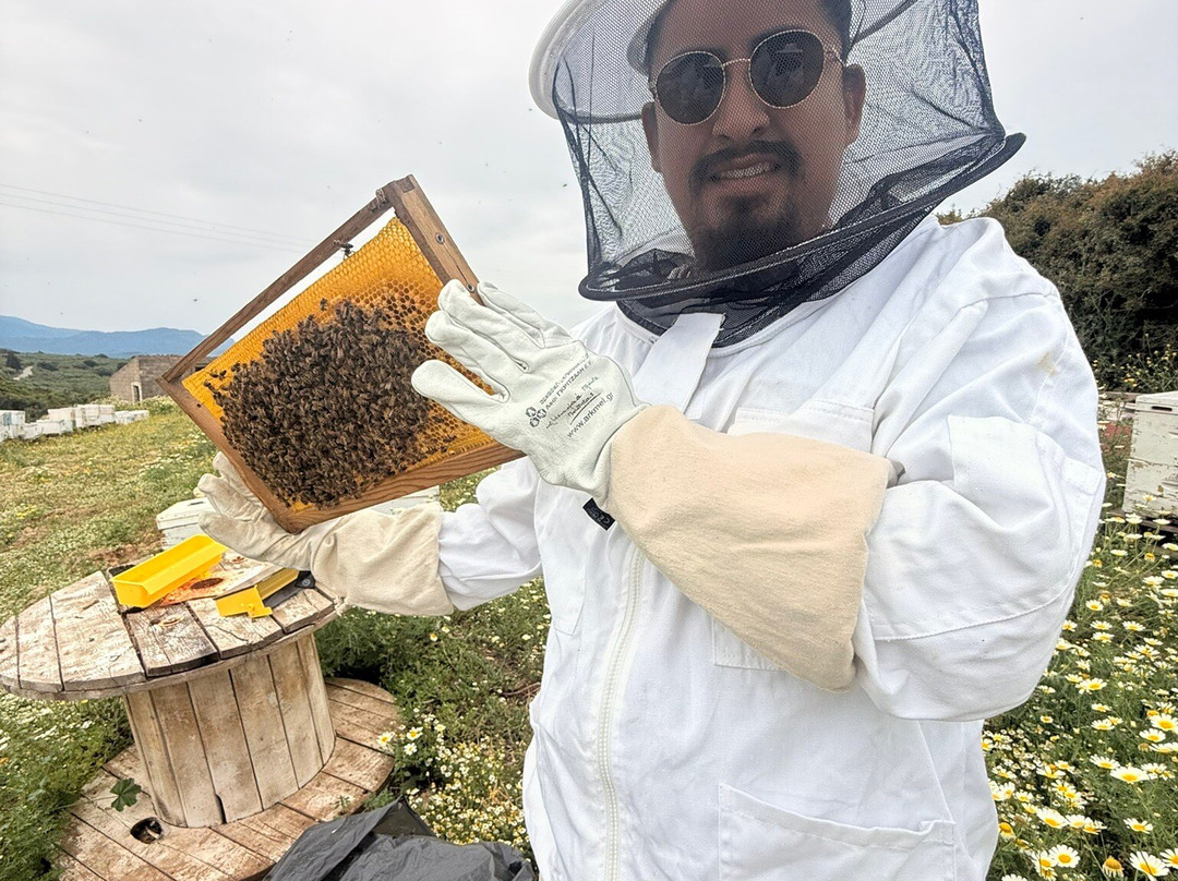 Dousakis Honey Beekeeping Tours-Rodopos必去景点