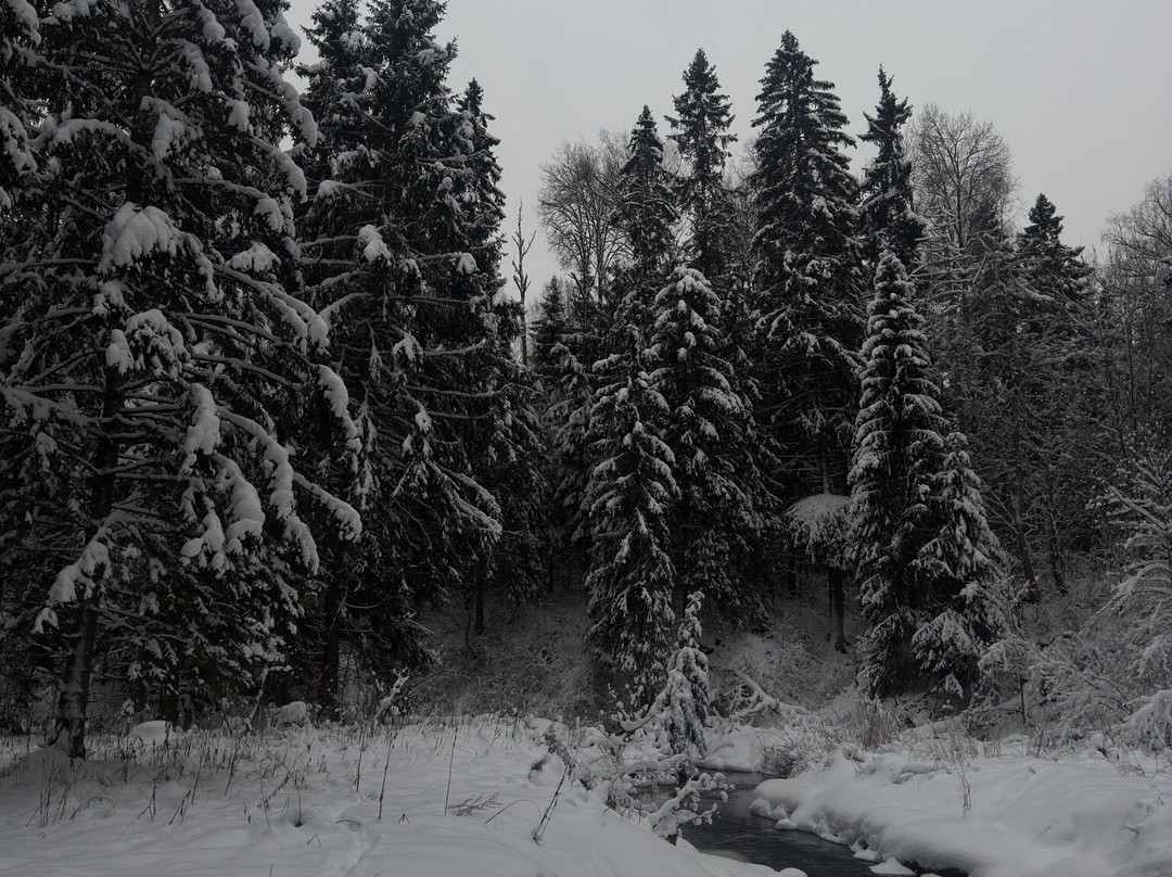 Russian Alpaca Farm-Pokhodkino必去景点