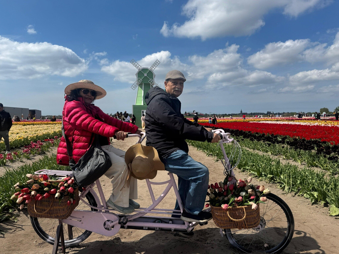 The Tulip Barn-Hillegom必去景点