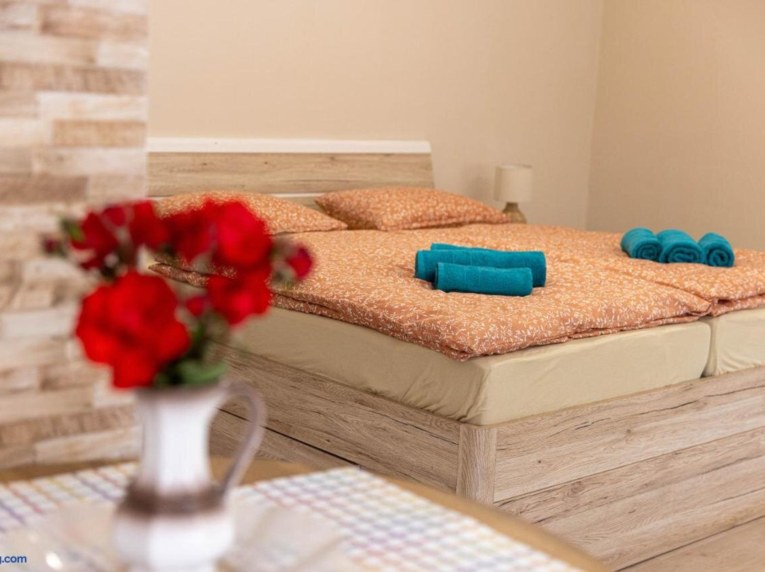 Apartmani MARJANOVIC Pacir
