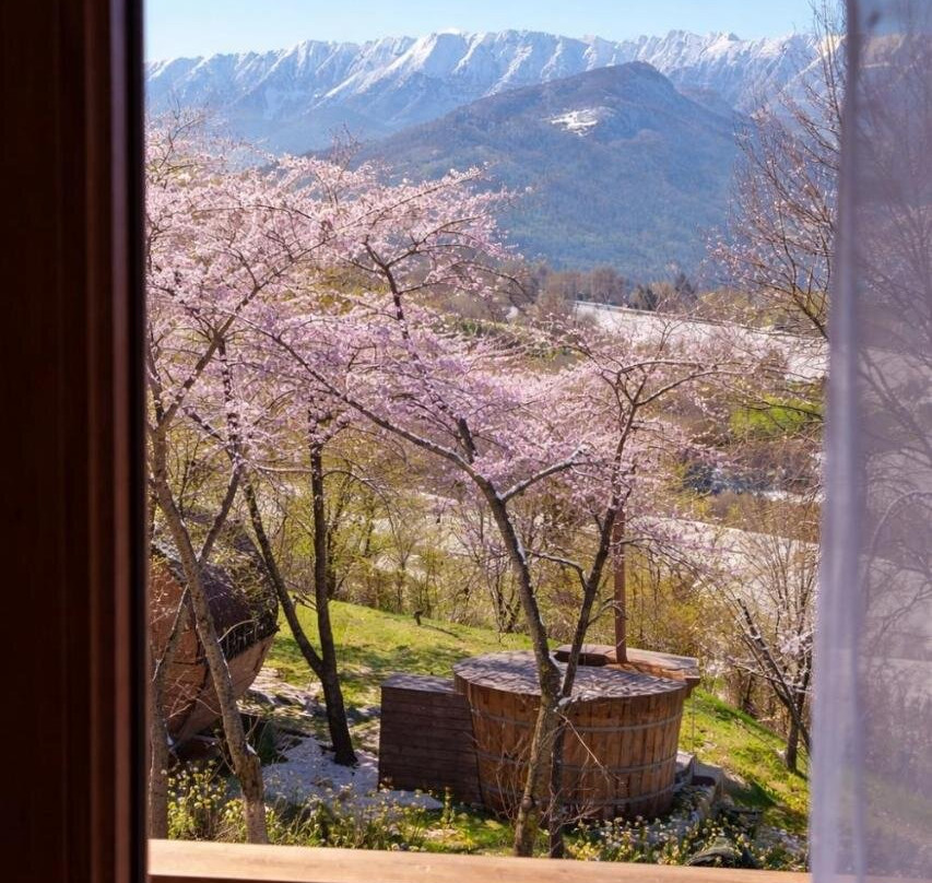 Ammon Chalet