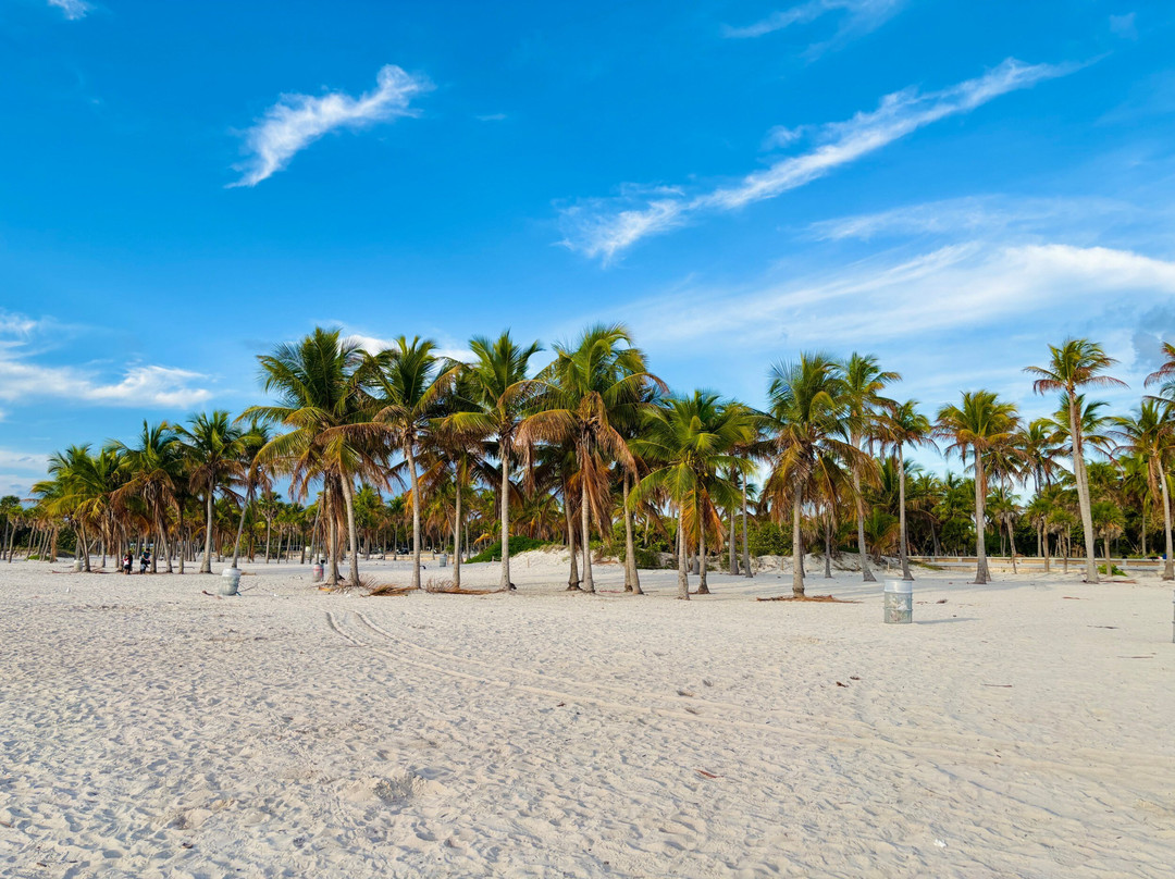 Crandon Beach-比斯坎湾必去景点