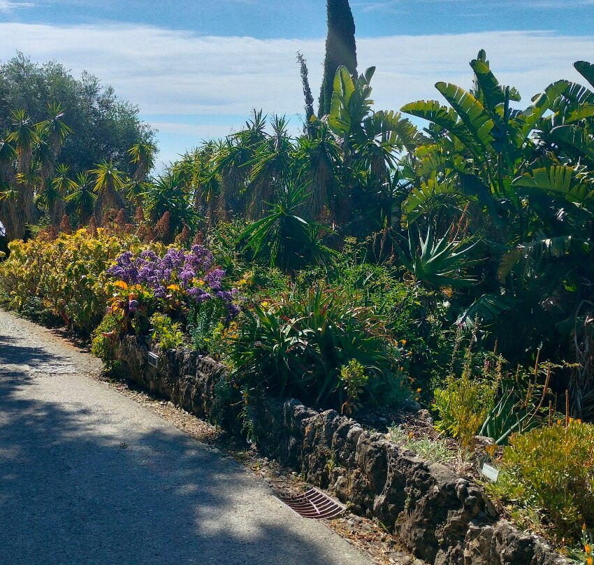 Giardini Botanici Hanbury - Villa Hanbury-文蒂米利亚必去景点