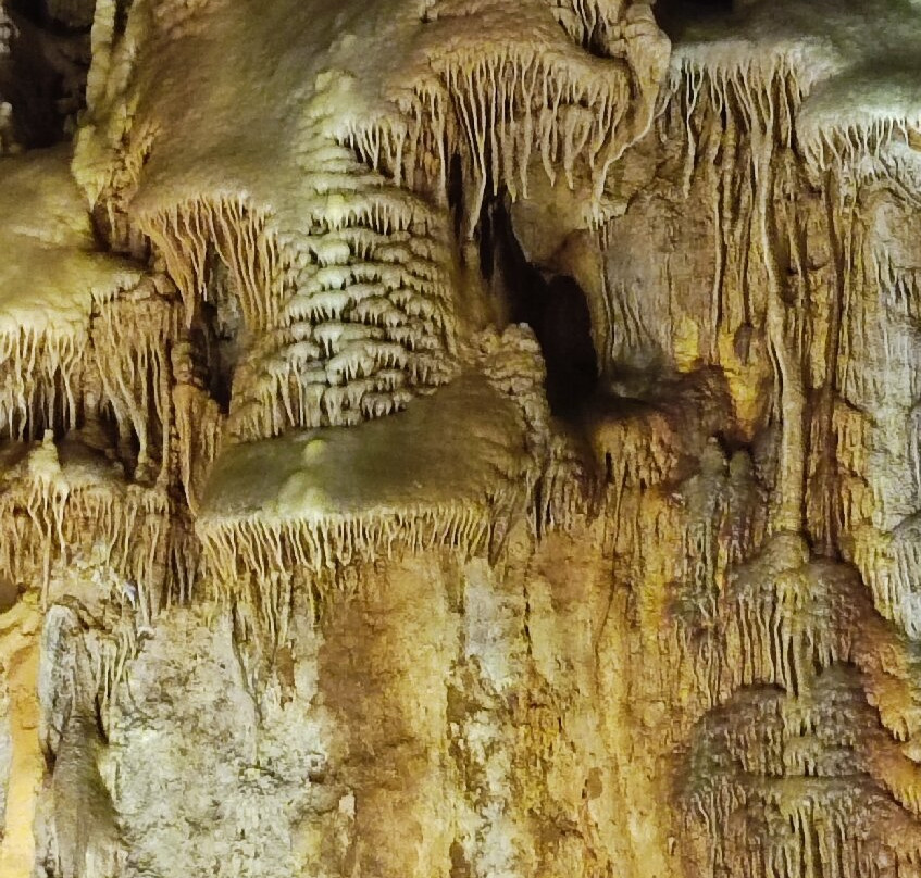 Grotte de Dargilan-Meyrueis必去景点