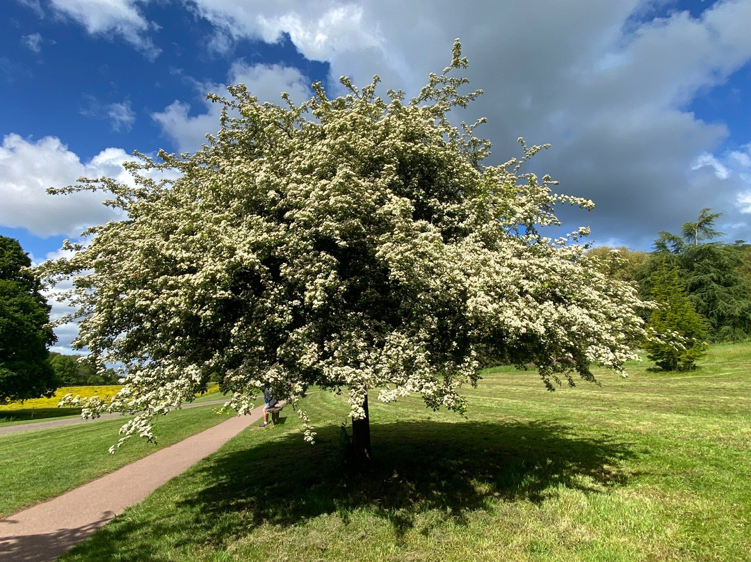 Killerton-Broadclyst必去景点