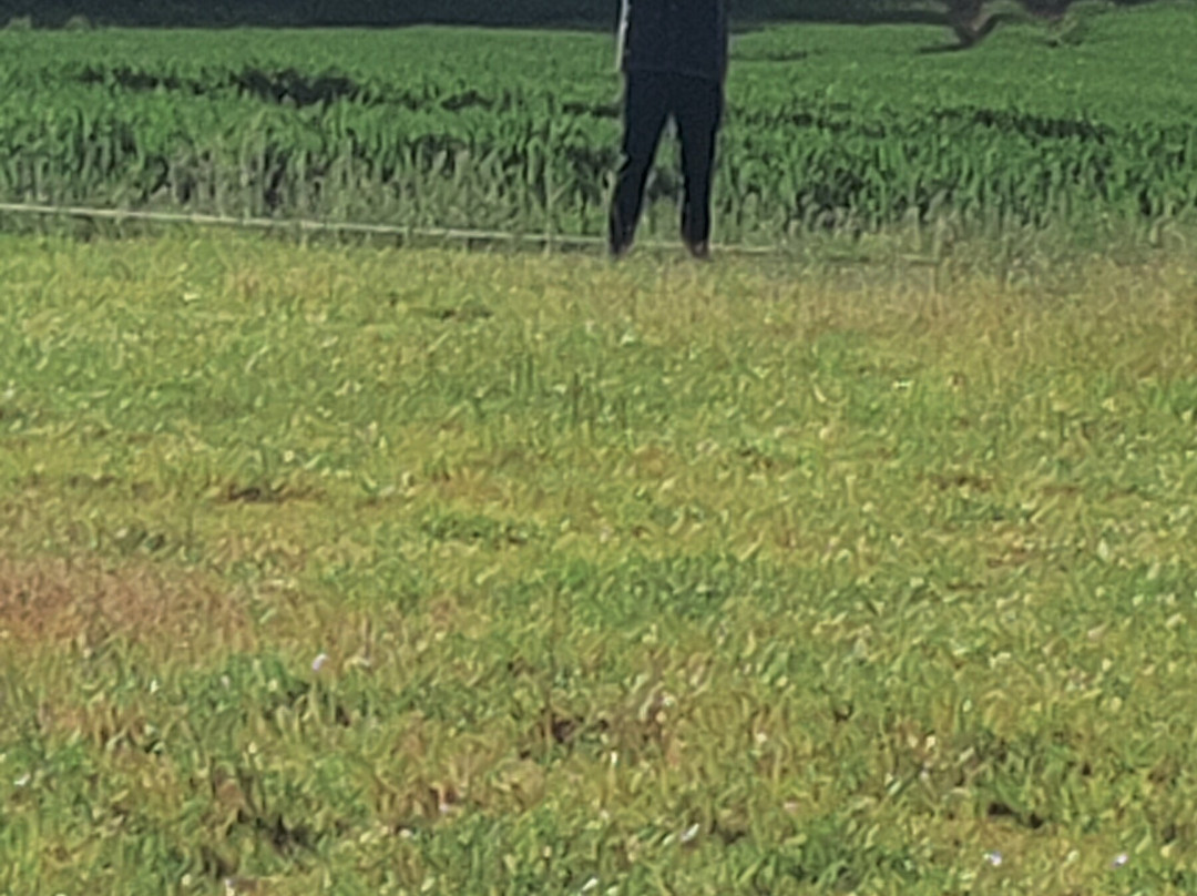 Virgin Balloon Flights - Guildford-吉尔福德必去景点