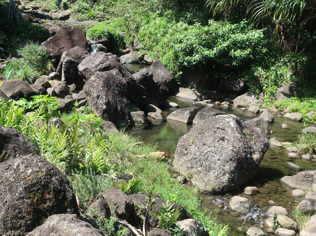 Limahuli Garden and Preserve-哈纳雷伊必去景点