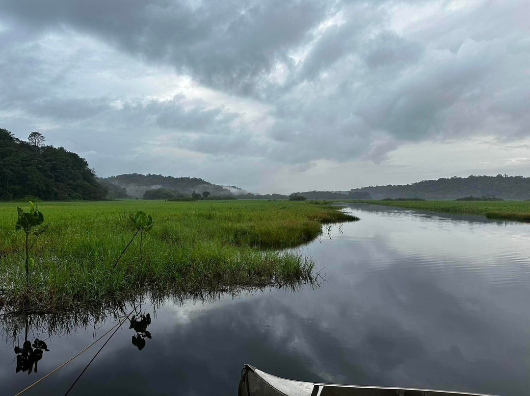 Ecolodge Flottant - Marais de Kaw-Regina必去景点