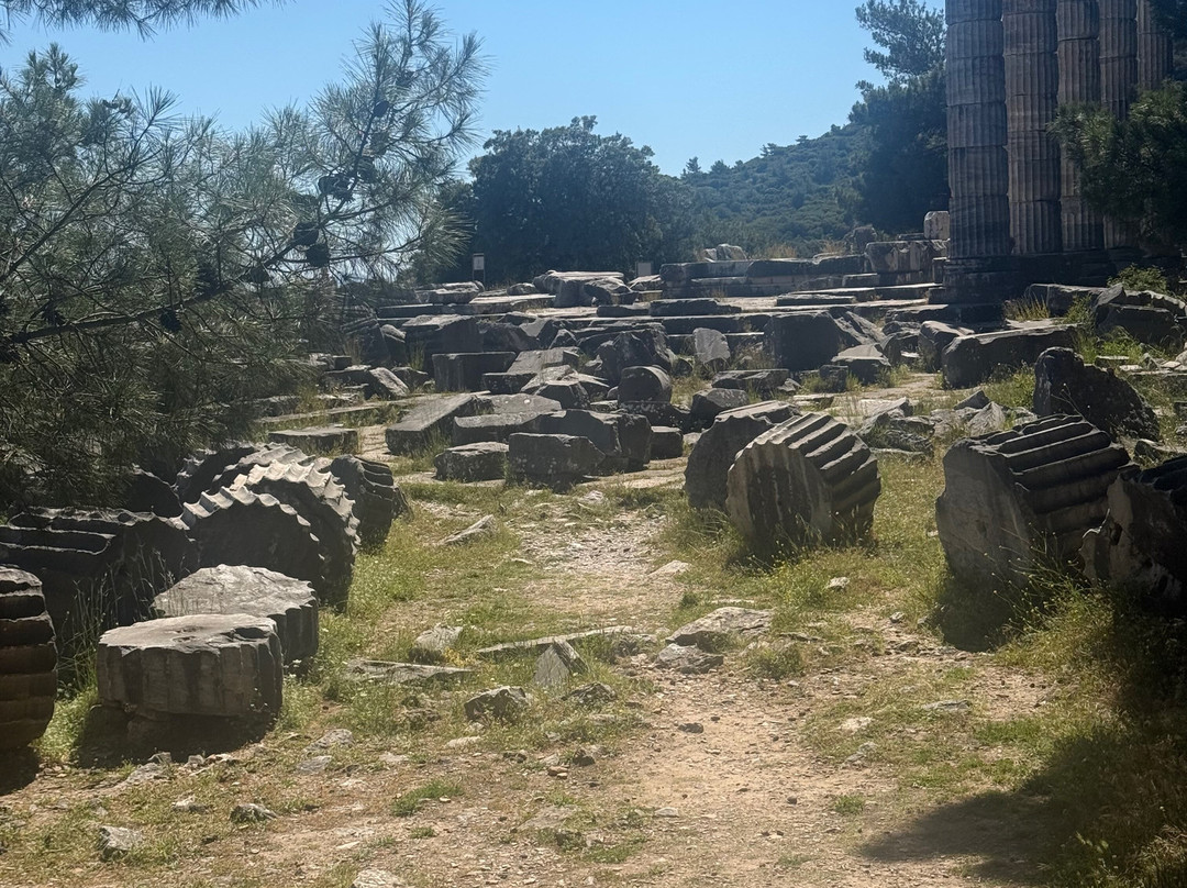 Priene Antik Kenti-Gullubahce必去景点