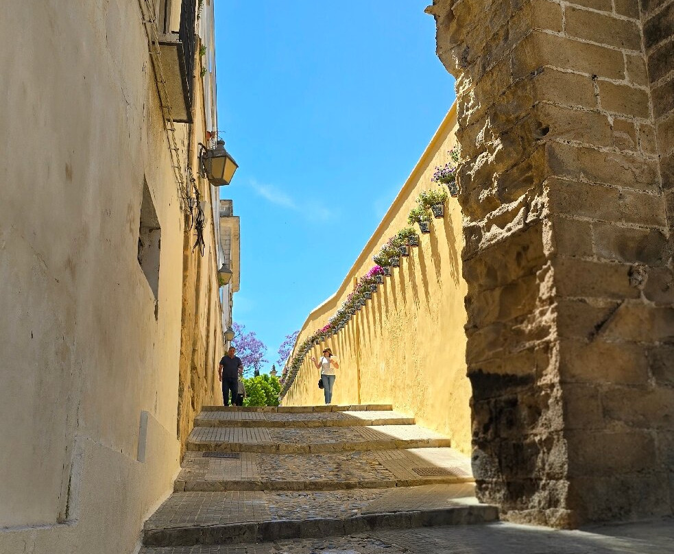 Catedral de Jerez-赫雷斯德拉弗隆特拉必去景点