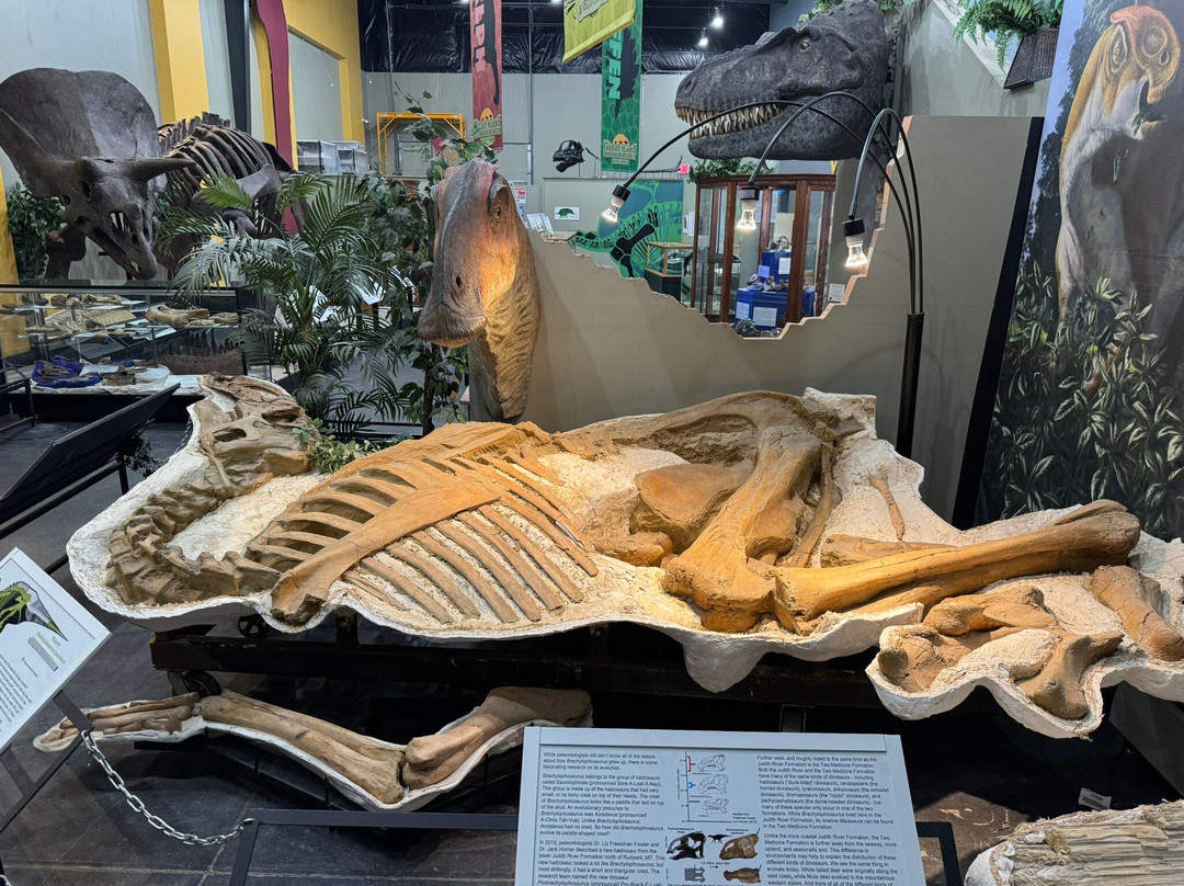Great Plains Dinosaur Museum-Malta必去景点