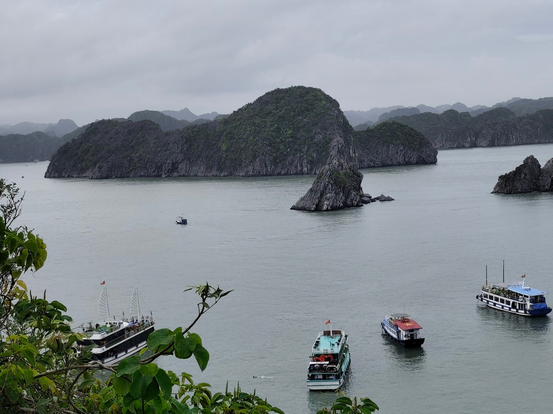 Cat Ba Green Trail Travel-Cat Ba Town必去景点