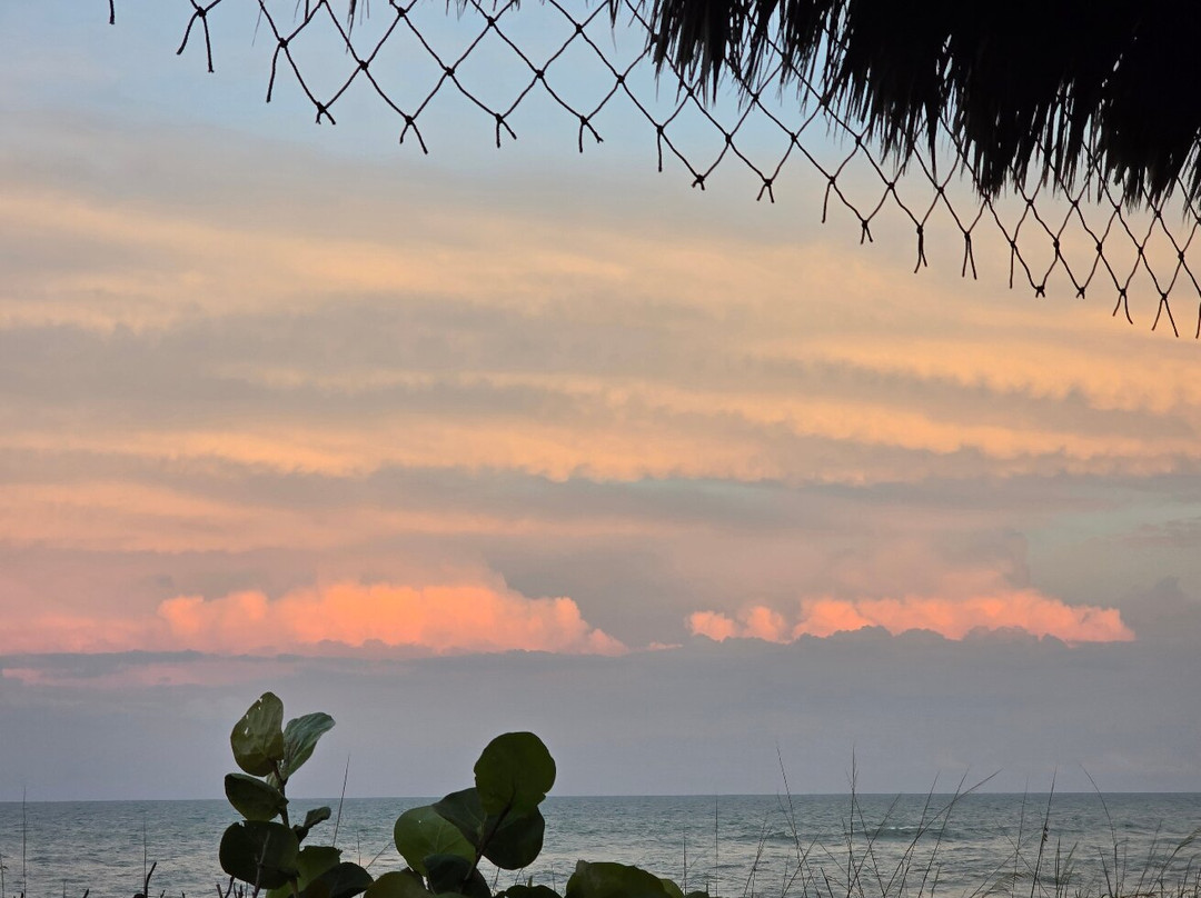 Longboards Oceanfront Grille