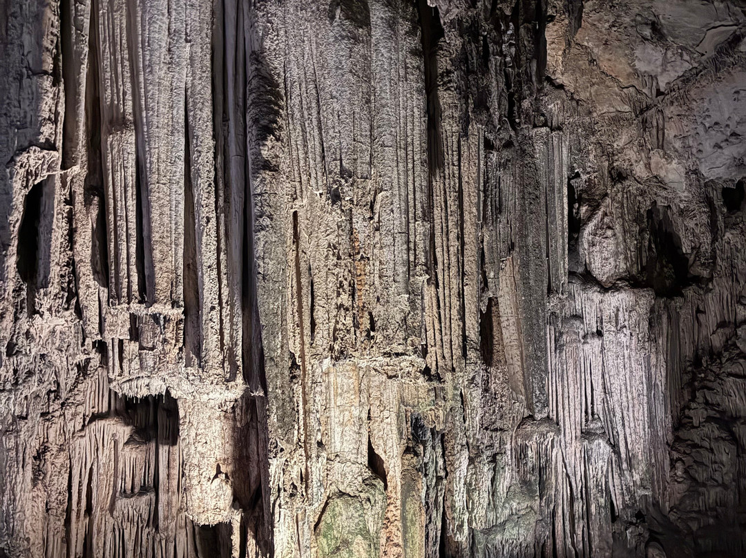 Thalia Travel-雷斯蒙必去景点