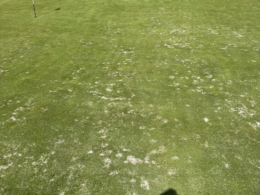 Piperdam Golf Course-敦提必去景点