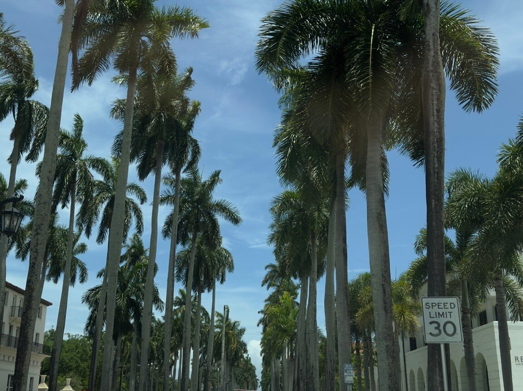 Downtown Palm Beach Gardens