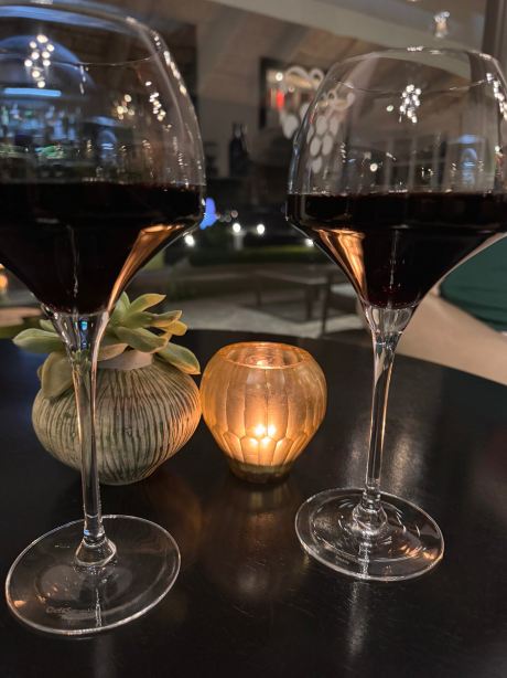 罗谢尔葡萄园酒店-旅行者
