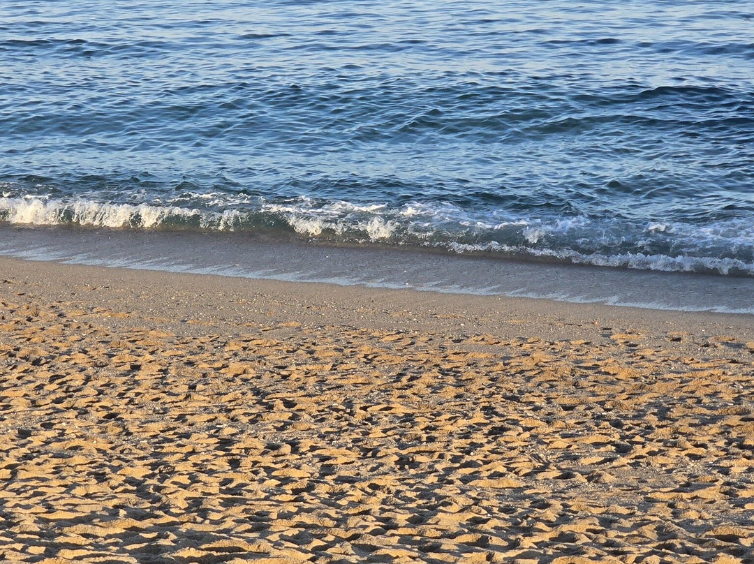 Par Sands Beach-Par必去景点