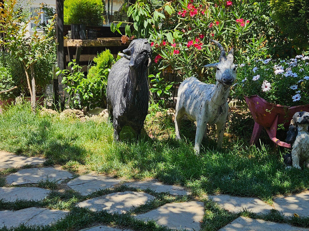 艾登省餐馆和美食-Bahar'ın Yeri Yorük çadırı