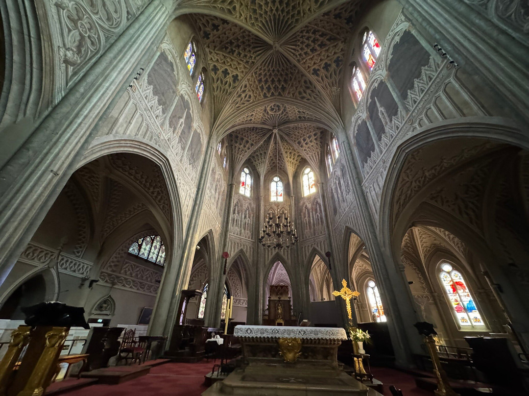 Cathédrale Saint-Francois-De-Sales-尚贝里必去景点