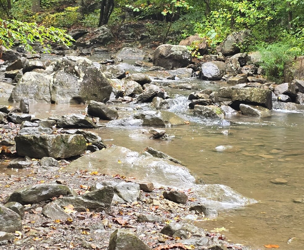 New River Gorge Bridge-Fayetteville必去景点