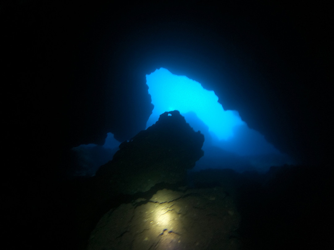 Blue Adventures Diving-干尼亚必去景点