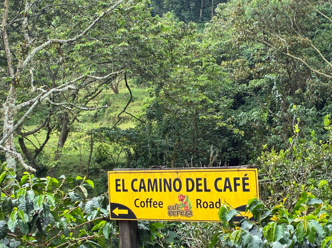 Finca Cafetera La Leona-麦德林必去景点