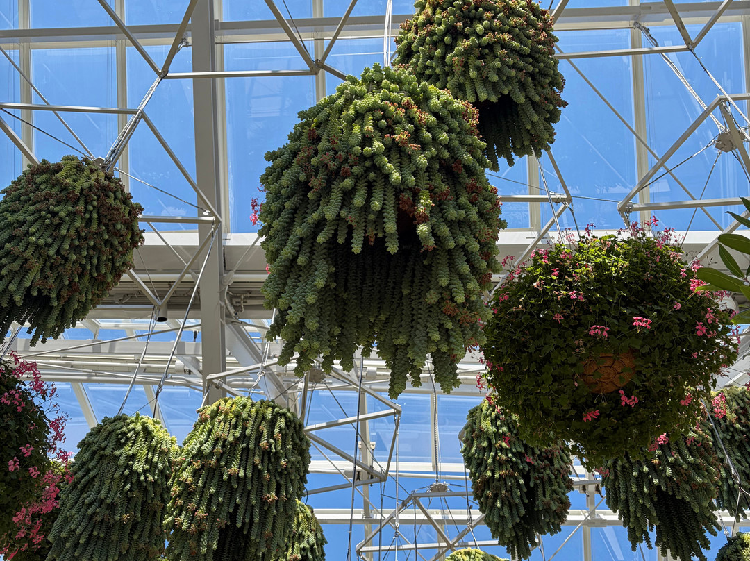 Longwood Gardens-肯尼特斯奎尔必去景点