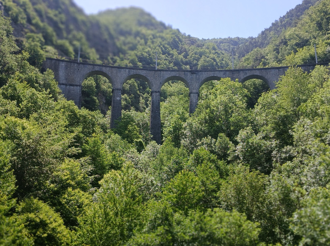 Le Petit Train de la Mure-La Mure必去景点