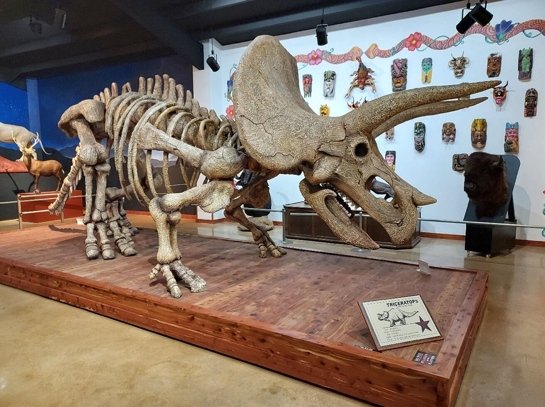 Bandera Natural History and Art Museum-Bandera必去景点
