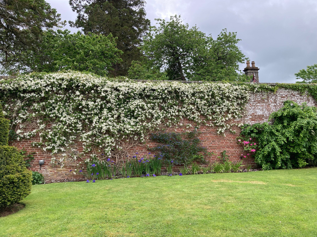 Dumfries House-Cumnock必去景点