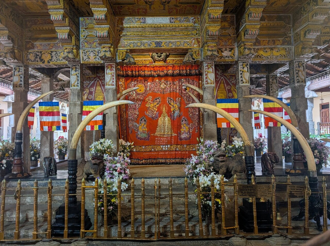 Sura Tours & Travels-卡图纳耶克必去景点