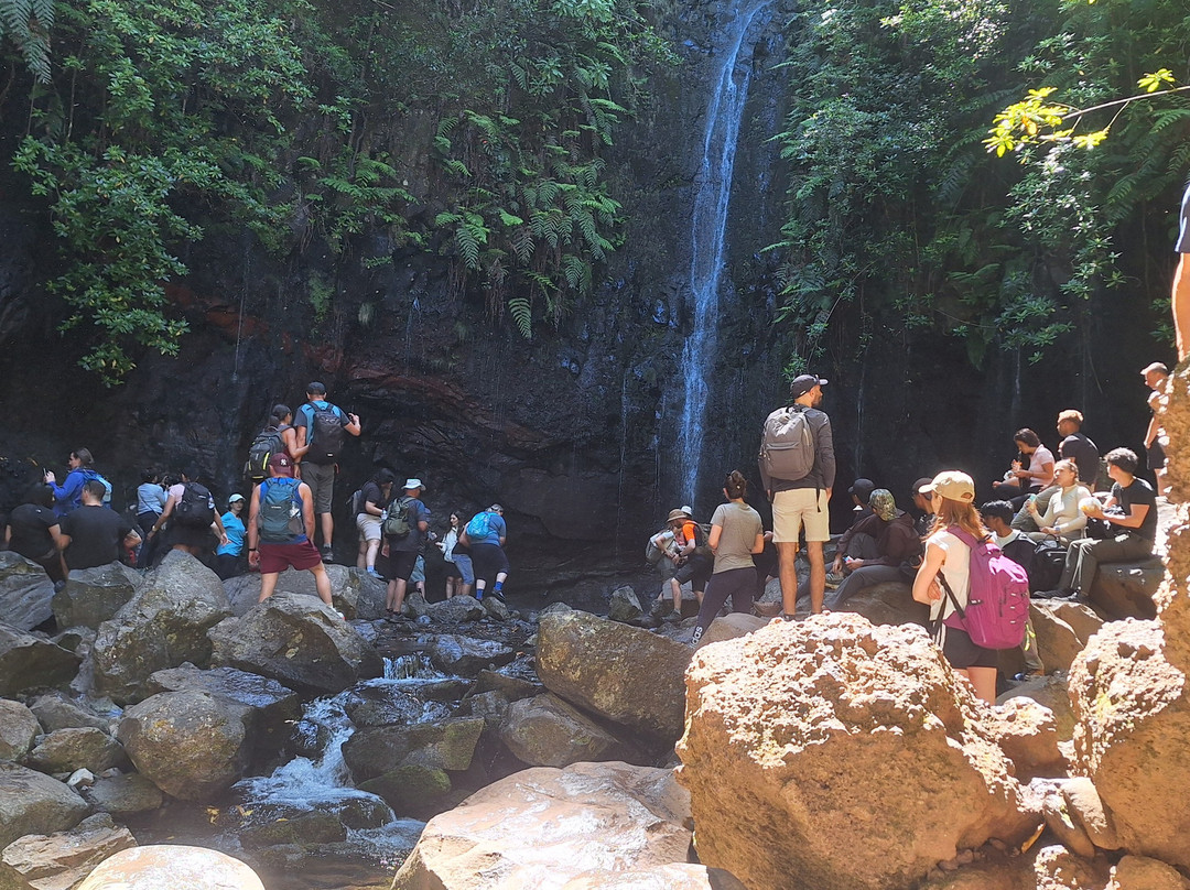 25 Fontes and Cascada da Risco-马德拉群岛必去景点