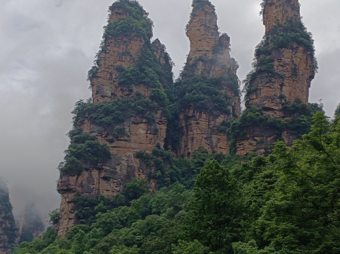 China Discovery-成都必去景点