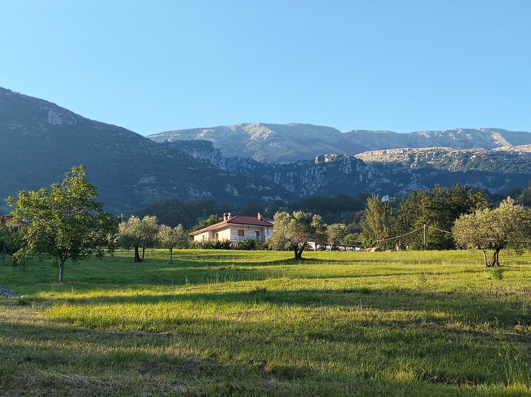 B&B dell'Agriturismo Casale Vitelli主图