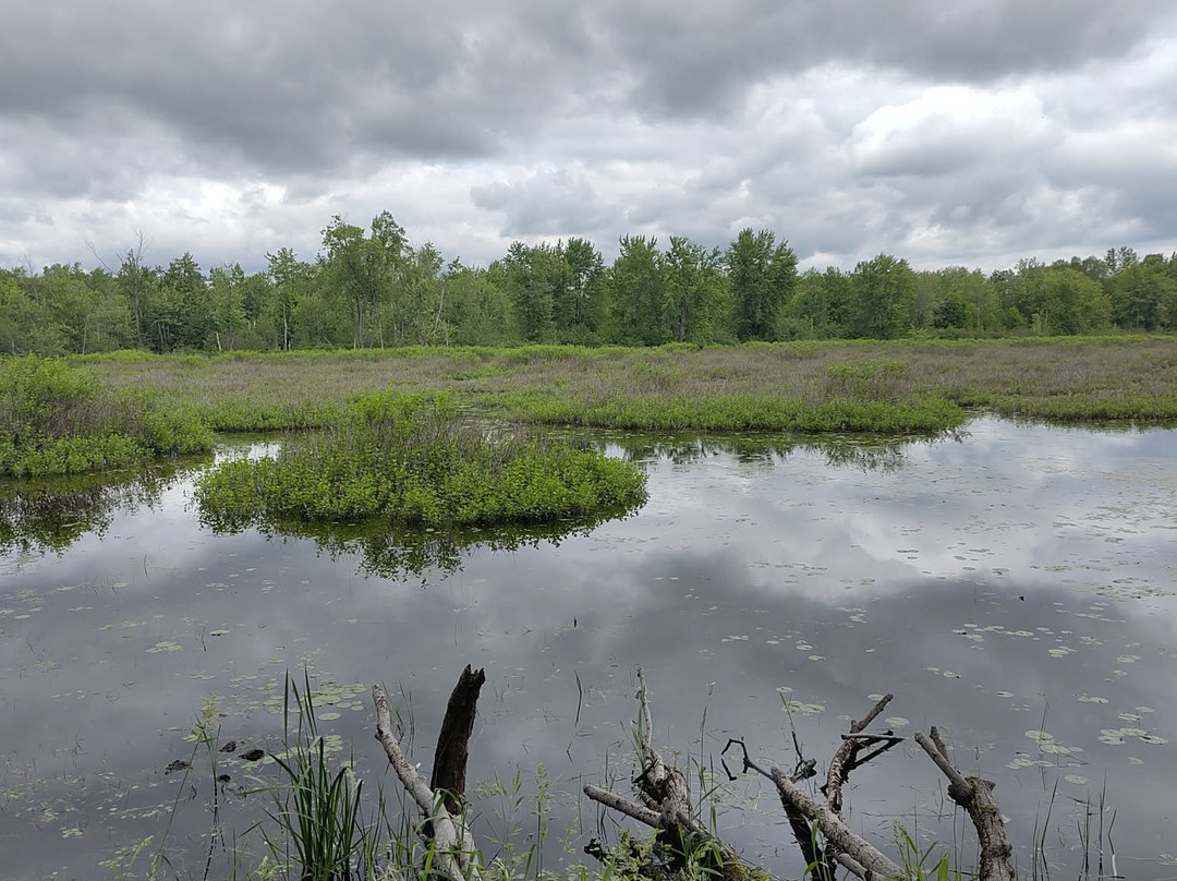 Parc National de Plaisance-Plaisance必去景点