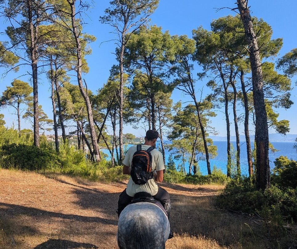 Horse-Ranch Manippos Halkidiki-Kassandra必去景点