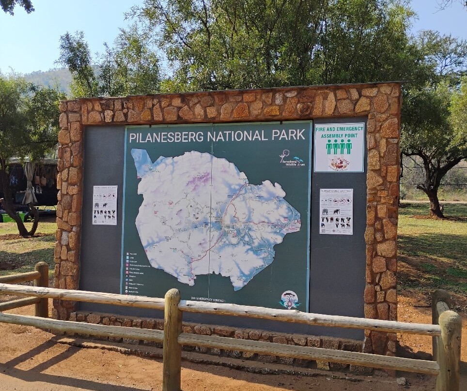 Pilanesberg National Park-太阳城必去景点
