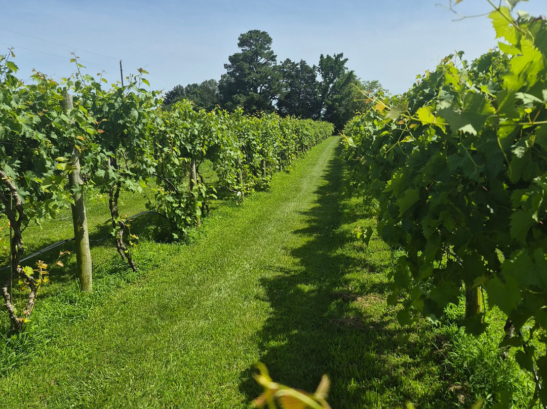 Poca Terra Winery-Benton必去景点