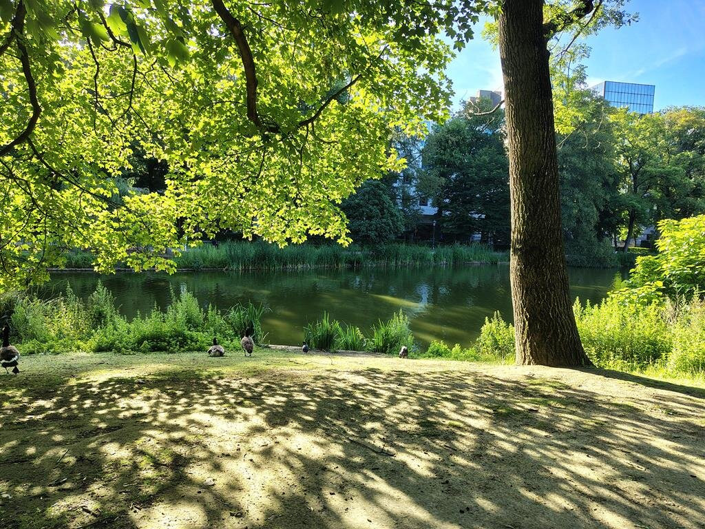 Leopold Park-布鲁塞尔必去景点
