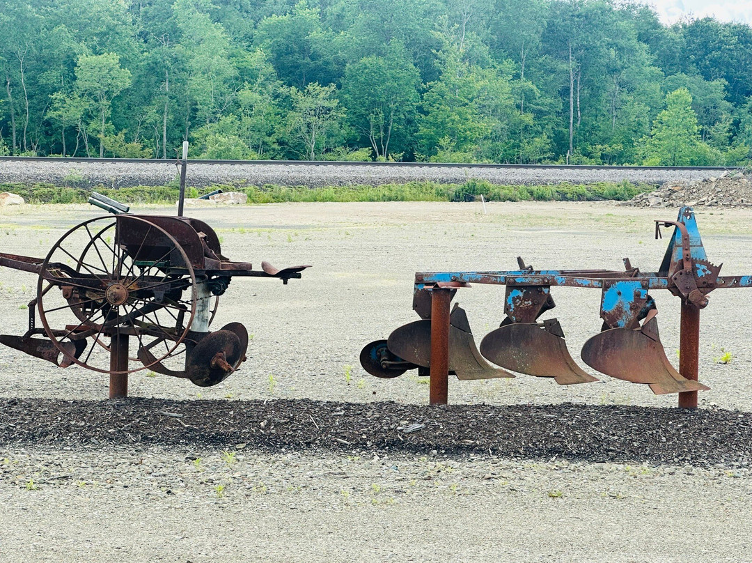 The Wilds Sonshine Factory-Kane必去景点