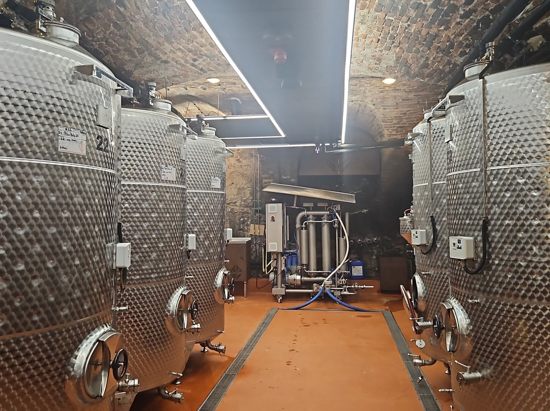 VIAJUR Winery-Svaty Jur必去景点