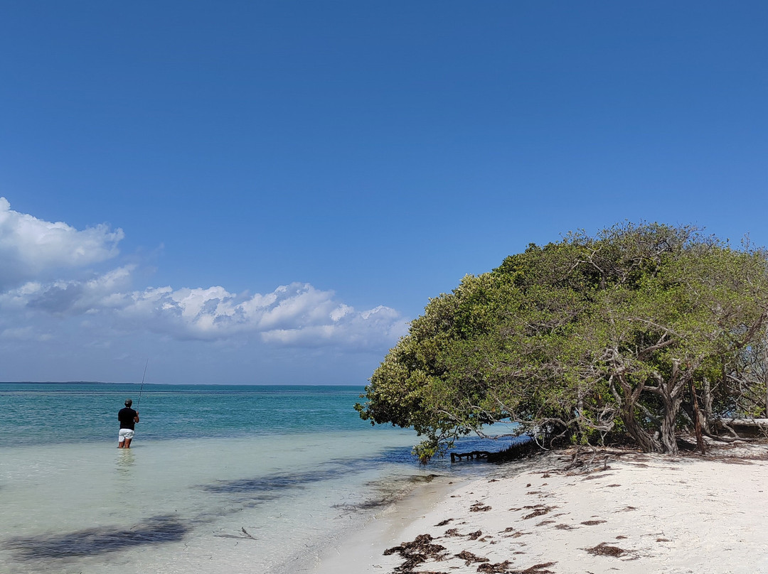 La Tua Vacanza In Messico-Solidaridad必去景点