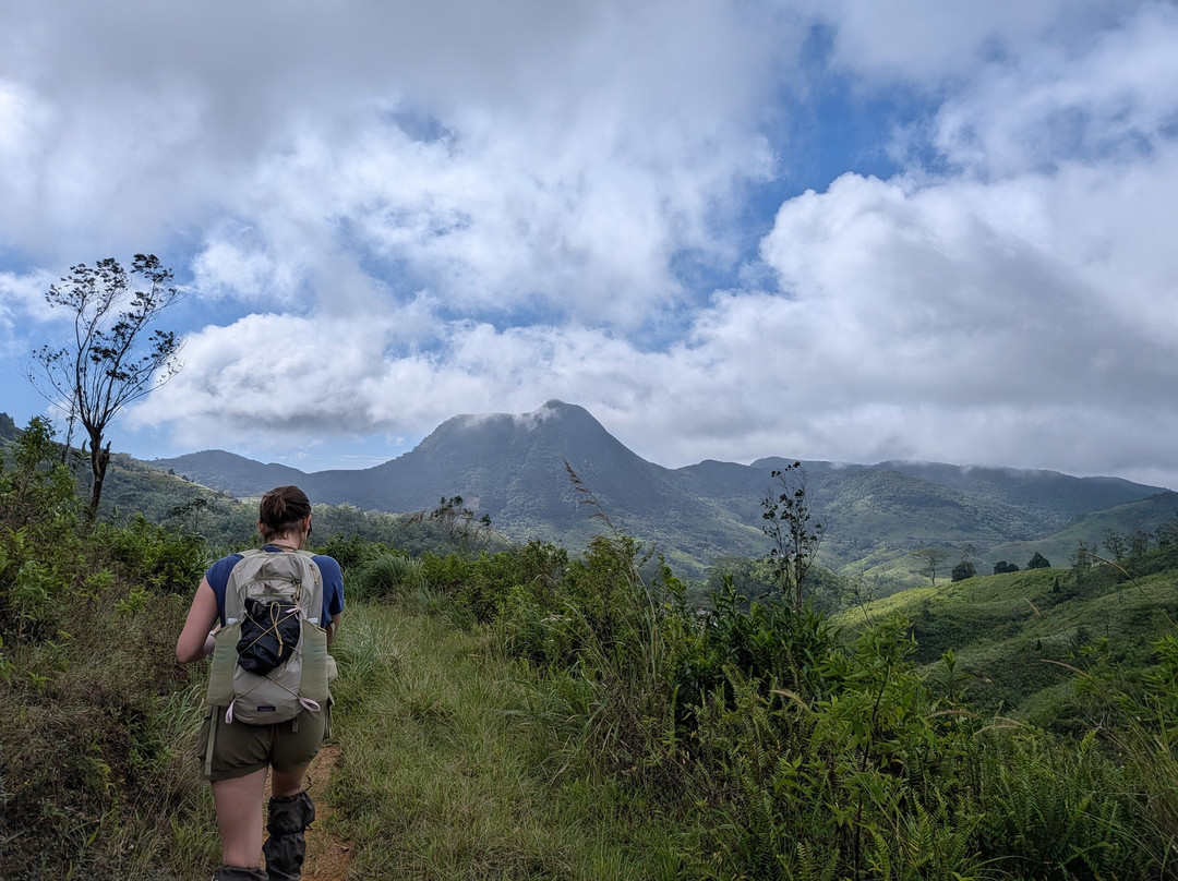 Nipuna Knuckles Trekking-康提必去景点