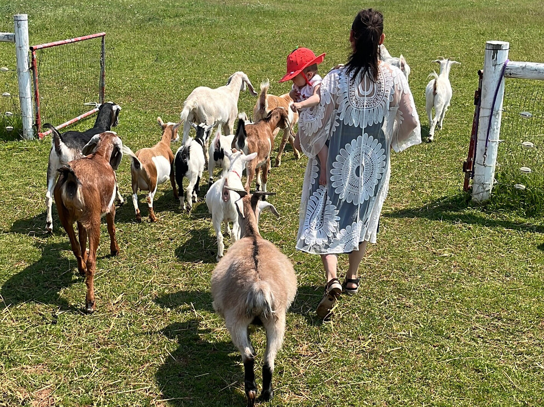 Island Hill Farm Inc-Hampshire必去景点